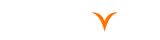 WhizCrow Logo